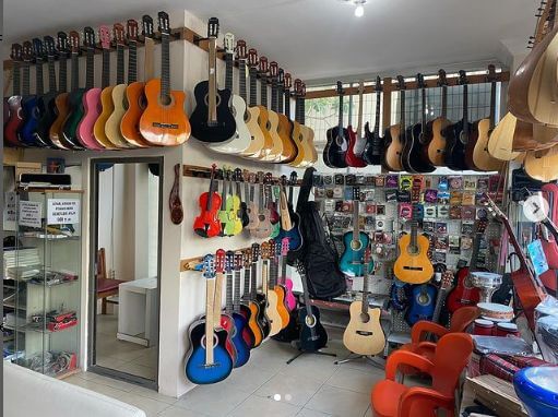 gitar çeşitleri